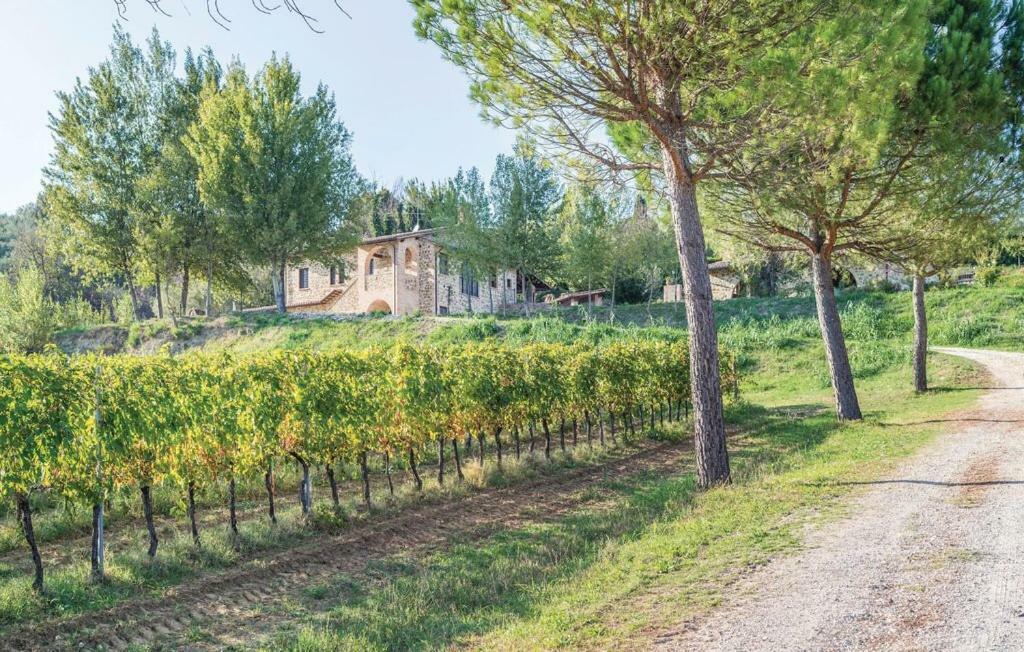 Agriturismo Wine Casale Villa Chiara Torgiano Exterior photo